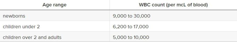 White blood Cells Count | WBC Normal Range - Blognex