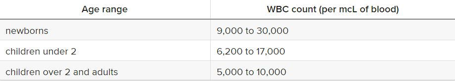 white-blood-cells-count-wbc-normal-range-blognex